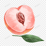 WWW,av411·COM网站APPAPP应用